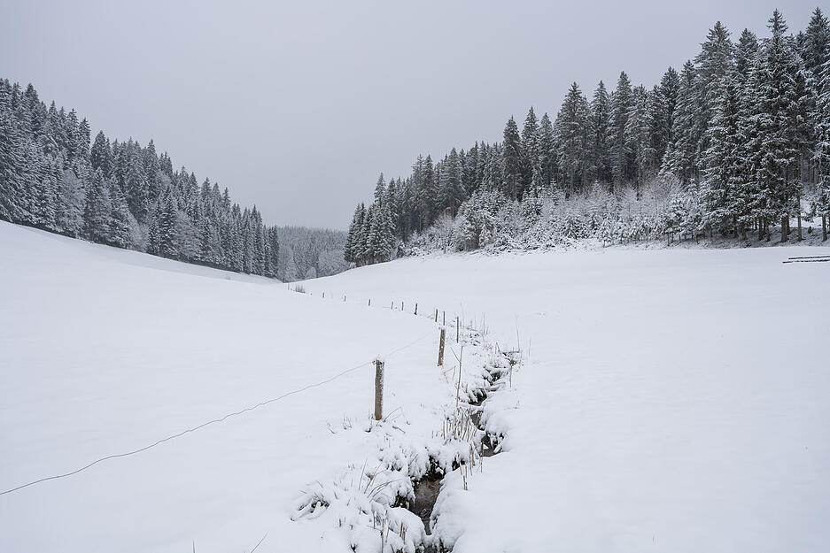 Ein Bach fließt in Linach (Schwarzwald-Baar-Kreis) durch die verschneite Landschaft. Ein Bach fließt in Linach (Schwarzwald-Baar-Kreis) durch die verschneite Landschaft.