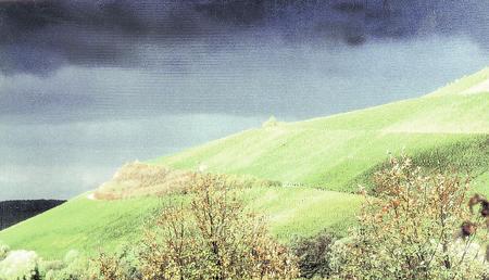 Dunkle Wolken über dem Weinbau: Die Schwarzholzkrankheit bedroht Lemberger-Rebstöcke. Im Weinsberger Tal gibt es derzeit kaum Krankheitsfälle. (Foto: Archiv/Schweizer) Dunkle Wolken über dem Weinbau: Die Schwarzholzkrankheit bedroht Lemberger-Rebstöcke. Im Weinsberger Tal gibt es derzeit kaum Krankheitsfälle. (Foto: Archiv/Schweizer)