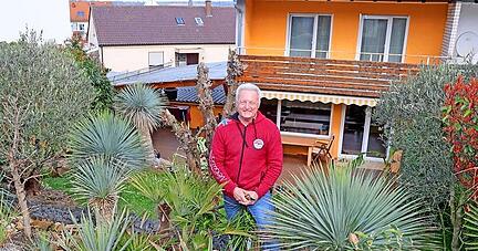 Klaus Gutöhrle in seinem Garten, umgeben von seinen mediterrane Gewächsen.
Fotos: Ralf Seidel