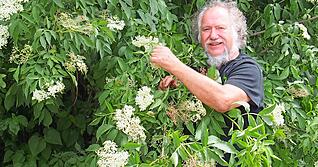 Bernulf Schlauch erntet Blüten für seinen Holunderzauber − mindestens 5000 am Tag, sie ergeben 500 Liter Holundersekt. Wenn die Dolden ihren Duft entfalten, ist er zur Stelle und sammelt die weißen Blüten in ganz Hohenlohe ein. Fotos: privat Bernulf Schlauch erntet Blüten für seinen Holunderzauber − mindestens 5000 am Tag, sie ergeben 500 Liter Holundersekt. Wenn die Dolden ihren Duft entfalten, ist er zur Stelle und sammelt die weißen Blüten in ganz Hohenlohe ein. Fotos: privat