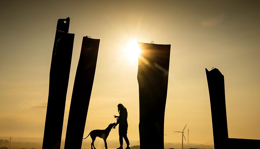 Dream-Team: Bis die Kommunikation zwischen Mensch und Hund klappt, ist es oft ein langer Weg. Dream-Team: Bis die Kommunikation zwischen Mensch und Hund klappt, ist es oft ein langer Weg.