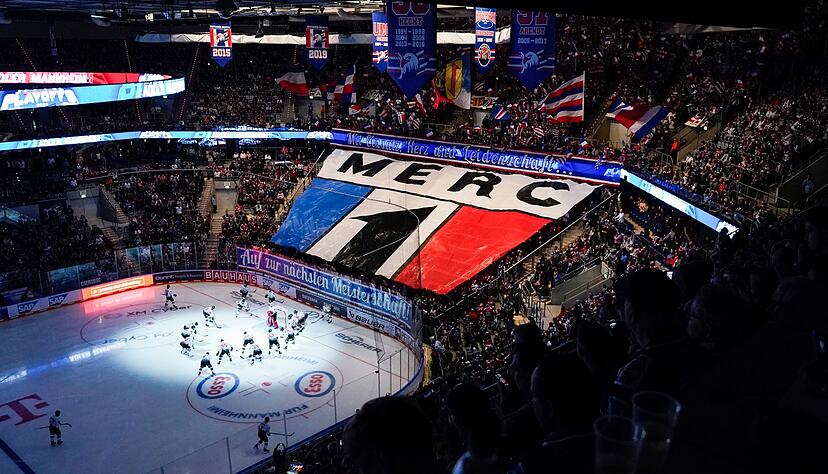 Die Adler Mannheim haben einen neuen Torh&uuml;ter verpflichtet.
