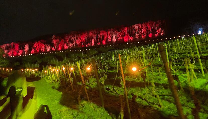 Unterschiedliche Illuminationen beleuchten die Nacht. Zusammen mit den kilometerlangen Lichterketten leiten sie durch die Nacht.