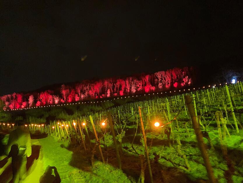 Unterschiedliche Illuminationen beleuchten die Nacht. Zusammen mit den kilometerlangen Lichterketten leiten sie durch die Nacht.
