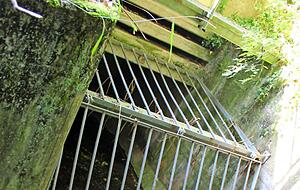 Und tschüss: Im Pfühlpark verschwindet der Pfühlbach in der Kanalisation. Und tschüss: Im Pfühlpark verschwindet der Pfühlbach in der Kanalisation.