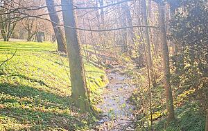 Idyllische Natur an einem Bachlauf des Flusses Kupfer.