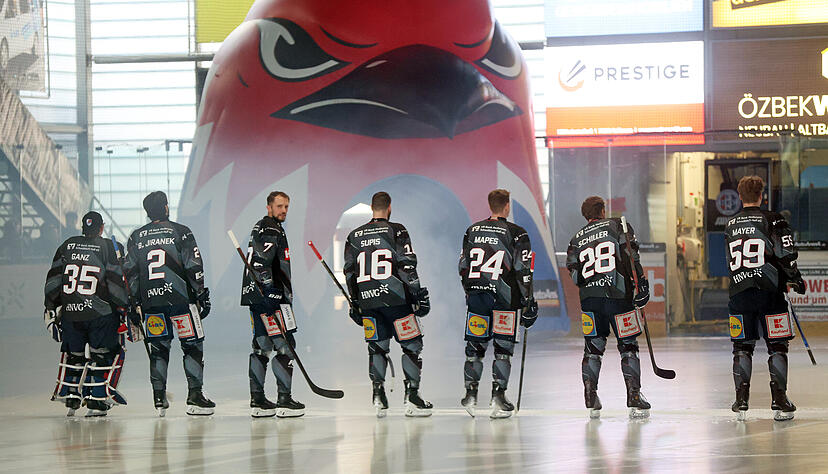 Im Halbfinale der Playoffs treffen die Heilbronner Falken auf die Hannover Scorpions.