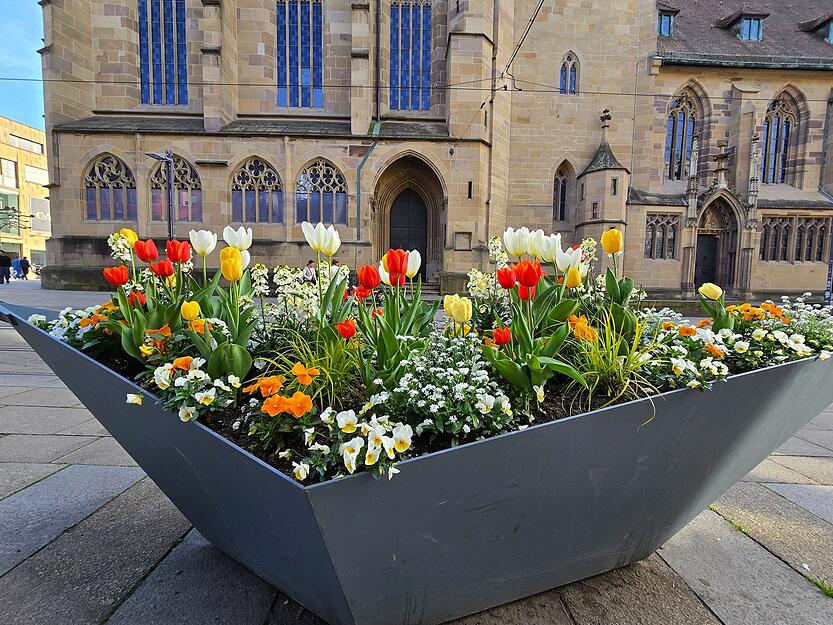 Für die Tullpen ist Hochsaison. Für die Tullpen ist Hochsaison.