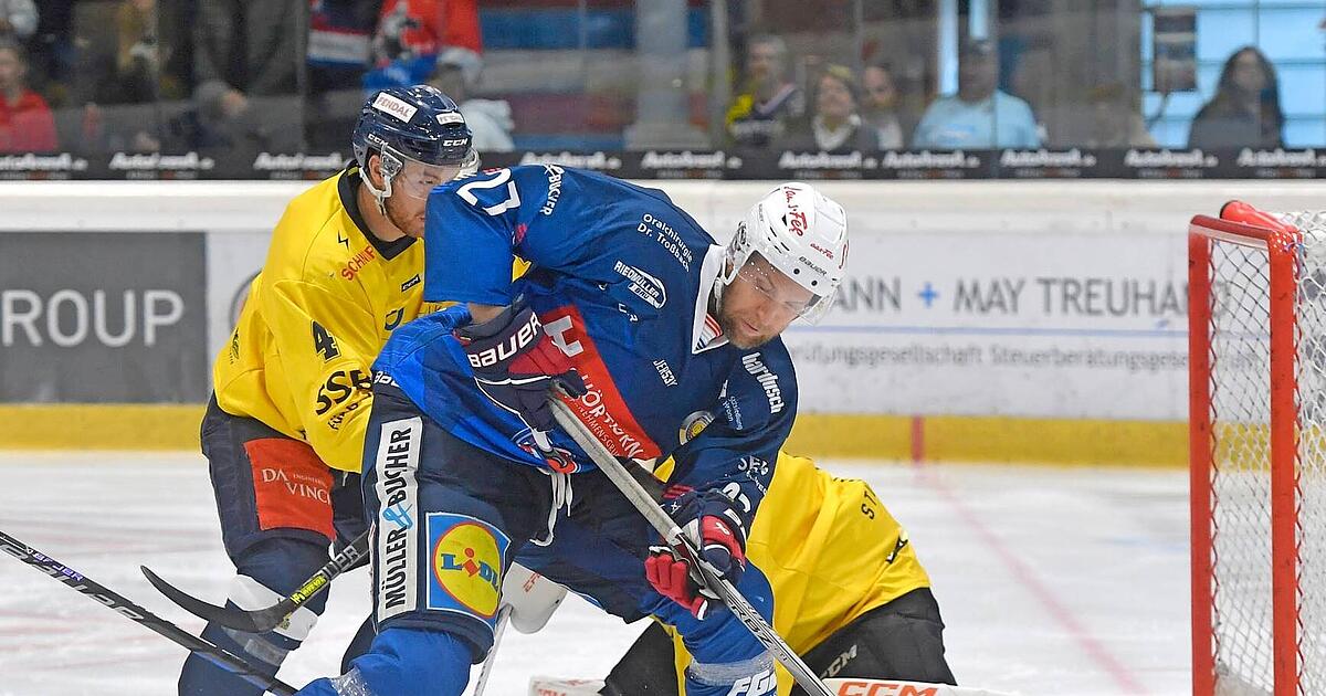 Heilbronner Falken gehen mit einem Sieg in die Playoffs STIMME.de