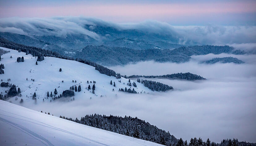 Im Schwarzwald liegt der Schnee teilweise &uuml;ber einen Meter hoch. Foto: dpa