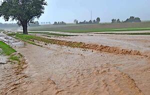 Eppingen am Tag nach dem Unwetter am 25. Juni 2016: &Uuml;berfluteter Acker.