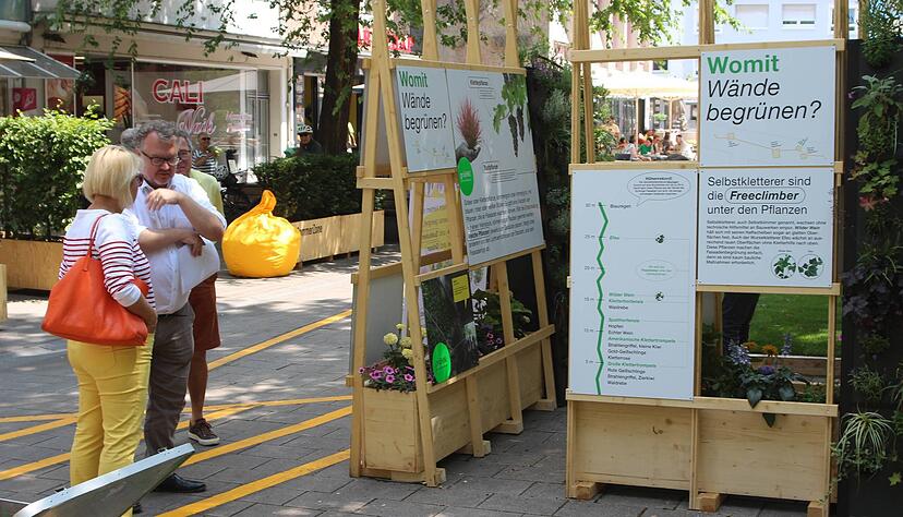Eine Ausstellung zum Thema "Greencity" in der Sommerzone zeigt, welche Effekte Fassadenbegrünungen auf Städte haben können. Eine Ausstellung zum Thema "Greencity" in der Sommerzone zeigt, welche Effekte Fassadenbegrünungen auf Städte haben können.