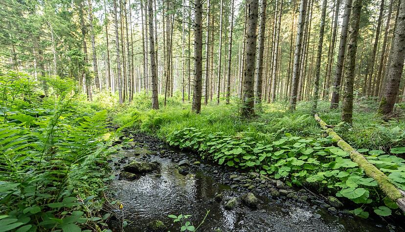 Jetzt ist die Wasserentnahme im Enzkreis wieder m&ouml;glich. (Symbolbild)