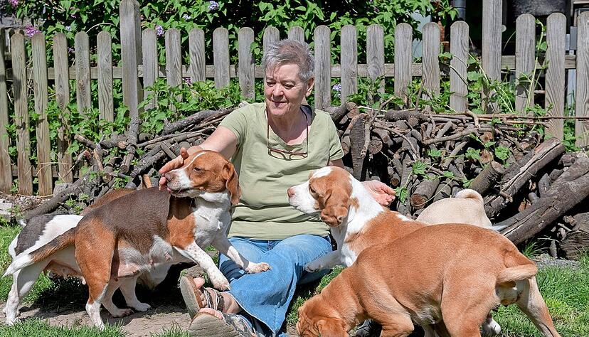 Petra Meißner-Bleckmann ist die Chefin im Rudel aus Beagles, Puggles und Möpsen.