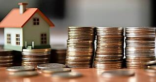 Am kommenden Dienstag will die Gemeinde Offenau die Grundsteuer C einf&uuml;hren. Das h&auml;tte Konsequenzen f&uuml;r Eigent&uuml;mer unbebauter Grundst&uuml;cke.