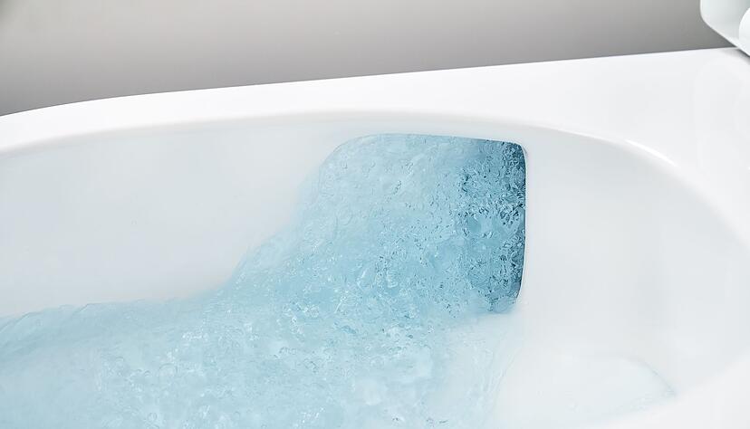 Erspart beim Putzen M&uuml;he: Das sp&uuml;lrandlose Innenleben von WCs. Hier ein Beispiel von Duravit.