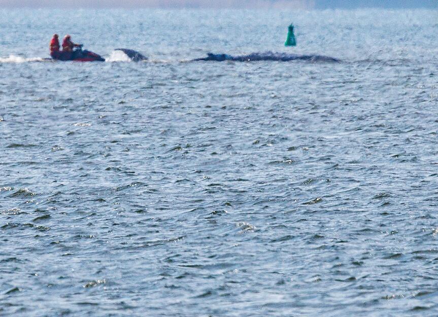 Mobilsierungsversuche gab es ab Mittag.