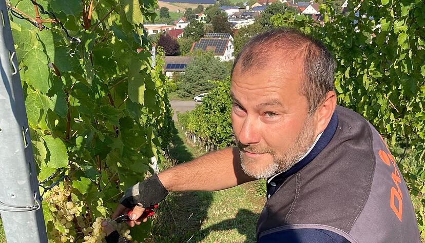 Vorarbeiter Alexander Martin freut sich, dass mit guter Qualität die Arbeit der vergangenen neun Monate belohnt wird. Foto: Tscherwitschke
