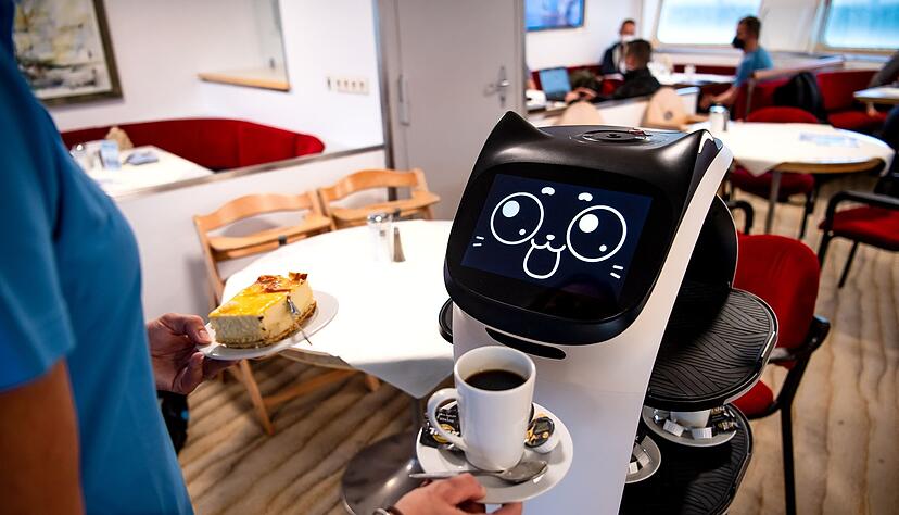 Roboter Bella Bot sieht ein bisschen aus wie eine Katze. Roboter Bella Bot sieht ein bisschen aus wie eine Katze.