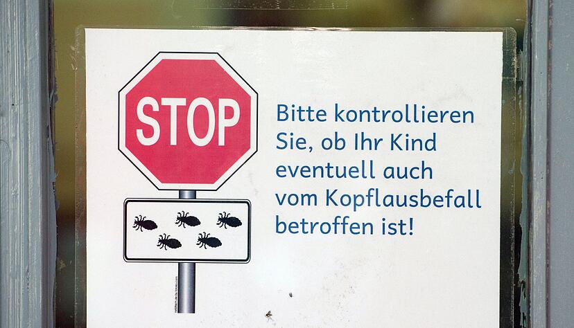 Eltern sollen die Kitas und Schulen z&uuml;gig &uuml;ber den Befall ihrer Kinder mit Kopfl&auml;usen informieren. (Foto-Illustration)