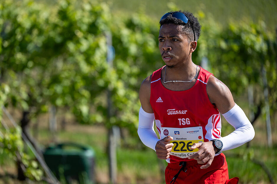 Der Trollinger-Marathon führt die Läufer auch um die Weinberge in Heilbronns Umgebung. Der Trollinger-Marathon führt die Läufer auch um die Weinberge in Heilbronns Umgebung.