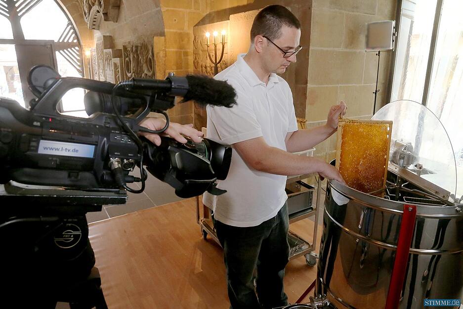 Honig auf der Kilianskirche Honig auf der Kilianskirche