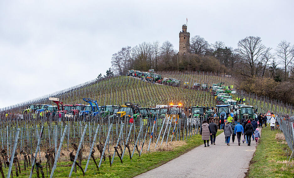 Bauern bringen Heuchelberg zum Leuchten