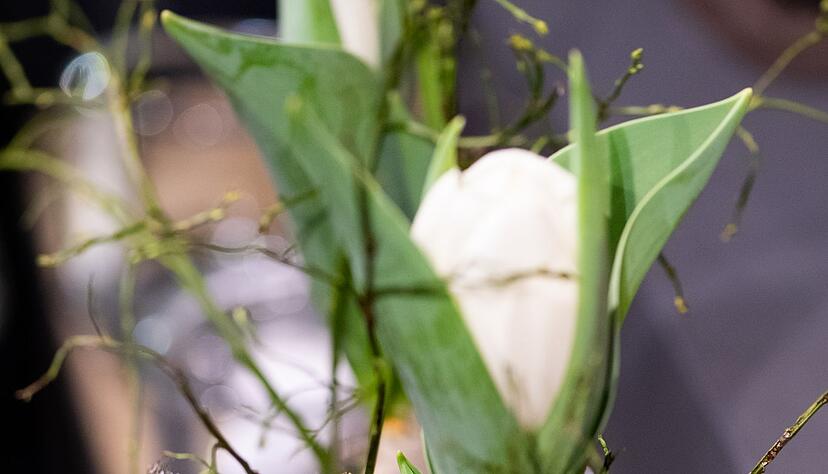 Fr&uuml;hlingsnatur im Glas: Moos, Federn und Bl&uuml;ten verwandeln einfache Gef&auml;&szlig;e in elegante Osterdeko.