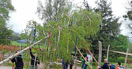 Mit vereinten Kräften stellen die Dorffreunde und der Schwäbische Albverein in Untersteinbach den Maibaum am Spielplatz beim Freibad, so wie hier im Vorjahr.
Foto: privat Mit vereinten Kräften stellen die Dorffreunde und der Schwäbische Albverein in Untersteinbach den Maibaum am Spielplatz beim Freibad, so wie hier im Vorjahr.
Foto: privat