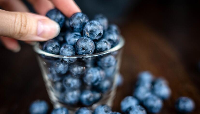 Klein, blau, erfolgreich als Snack: die Heidelbeere. Sie boomt immer noch. (Archivfoto)