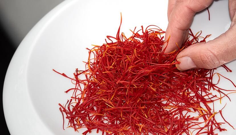 Bei den geernteten Safranblüten kommt es nur auf die roten Fäden an. Sie gaben dem Safran den Beinamen «rotes Gold».
