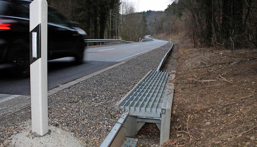 Unten durch statt oben dr&uuml;ber: Zwischen Siegelsbach und Ha&szlig;mersheim-Neckarm&uuml;hlbach nehmen Grasfr&ouml;sche und Springfr&ouml;sche seit diesem Fr&uuml;hjahr den Tunnel.  ??????
 Foto: Simon Gajer ??