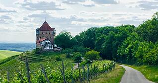 Malerisch anzusehen, aber leider nicht zu besichtigen: die Burg Wildeck.