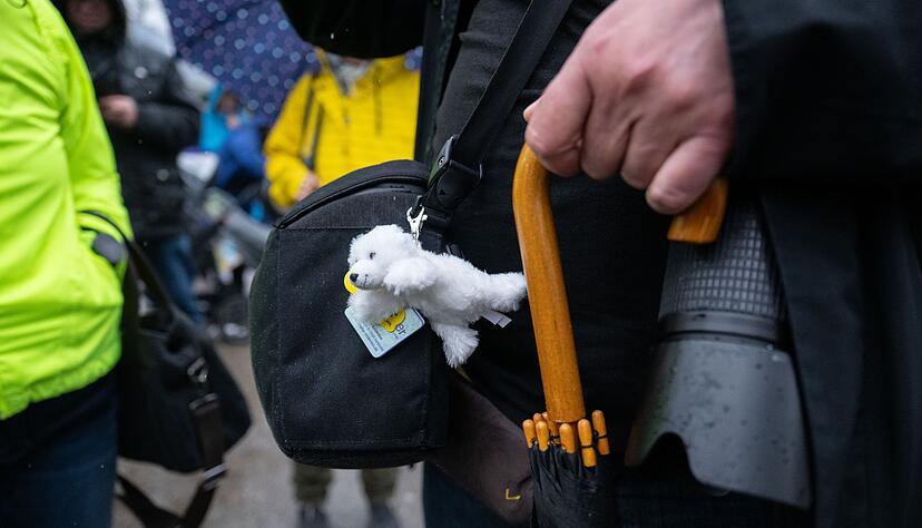 Hallo Mika! - Besucher d&uuml;rfen zu Eisb&auml;r-Baby Mika.