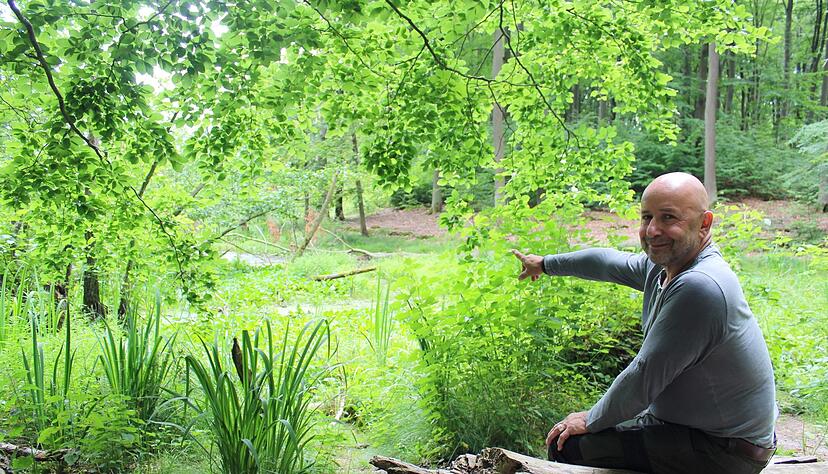 Michael-Egidius Luthardt, ehemaliger Leiter des Landeskompetenzzentrums Forst in Eberswalde, zeigt auf einen kleinen Teich, der immer mehr austrocknet.