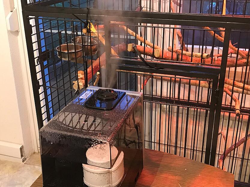 Ein Luftbefeuchter f&uuml;r einen Papagei entwickelte so viel Dampf, dass Passanten von einem Brand ausgingen und die Feuerwehr alarmierten.