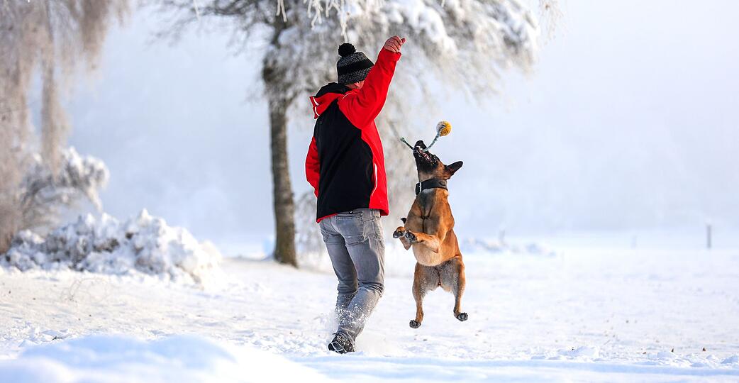 Winterurlaub mit Hund: Toben im Schnee macht Mensch und Vierbeiner gleicherma&szlig;en gl&uuml;cklich.