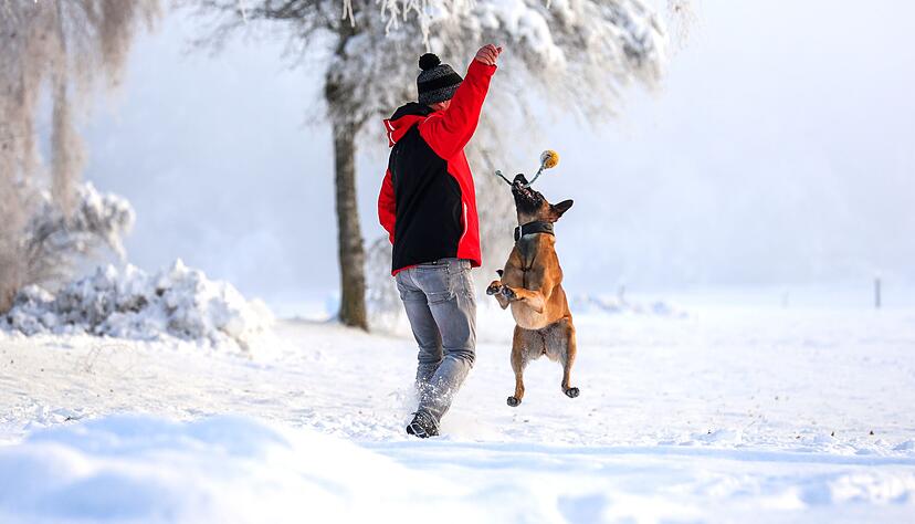 Winterurlaub mit Hund: Toben im Schnee macht Mensch und Vierbeiner gleicherma&szlig;en gl&uuml;cklich.
