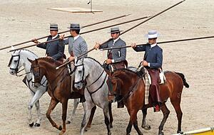 Regelmäßig sind Gastländer bei den Hengstparaden zu Gast. 2019 war es Spanien, das seine Andalusier mit auf die Schwäbische Alb gebracht hatte. Regelmäßig sind Gastländer bei den Hengstparaden zu Gast. 2019 war es Spanien, das seine Andalusier mit auf die Schwäbische Alb gebracht hatte.