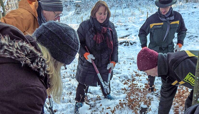 Kultusministerin Theresa Schopper (mitte) hat im Staatswald Hand angelegt, wie es Schüler im Programm des Schöntaler Waldschulheims machen. Leiter Uli Oberhauser (rechts) zeigt, wo die Schnitte gesetzt werden müssen.
Foto: privat Kultusministerin Theresa Schopper (mitte) hat im Staatswald Hand angelegt, wie es Schüler im Programm des Schöntaler Waldschulheims machen. Leiter Uli Oberhauser (rechts) zeigt, wo die Schnitte gesetzt werden müssen.
Foto: privat
