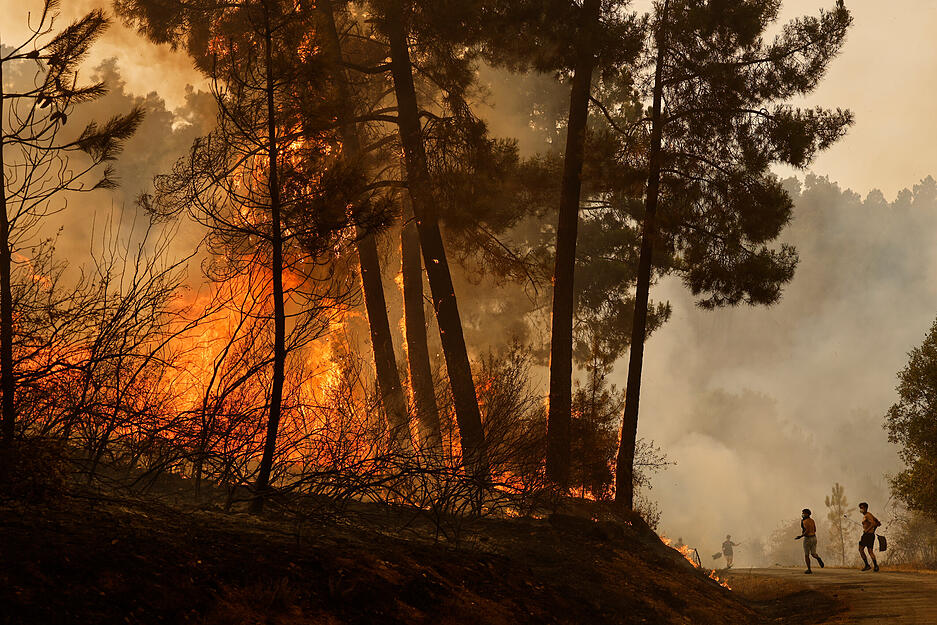 Anwohner und freiwillige Helfer versuchen einen Waldbrand zu l&ouml;schen. In Spanien w&uuml;ten die schlimmsten Waldbr&auml;nde seit Jahrzehnten.