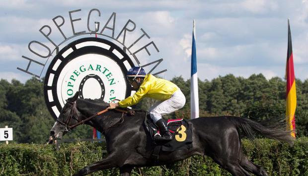 Maxime Guyon holte sich auf Meandre den Gro&szlig;en Preis von Berlin. Foto: J&ouml;rg Carstensen