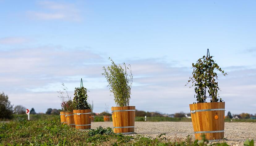 Gr&uuml;nder Martin Herrenknecht lie&szlig; laut Unternehmen Blumenk&uuml;bel von einer Stra&szlig;e entfernen.