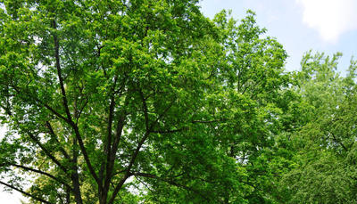 Freibadserie: Leingarten