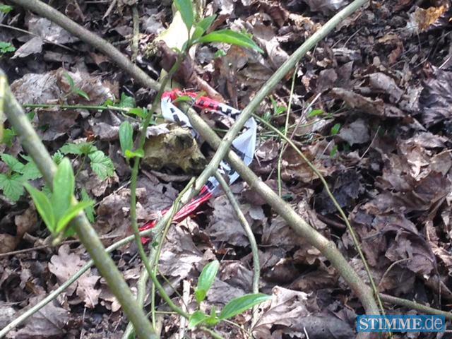 Leichenfund bei Neuenstadt Leichenfund bei Neuenstadt