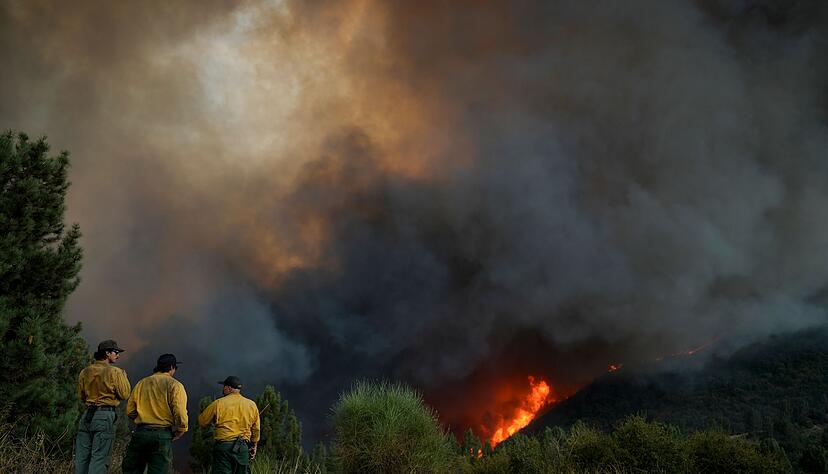 Hunderte Feuerwehrleute sind im Einsatz.