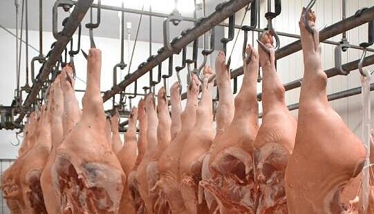 So kommt das Rohmaterial aus dem Kühlhaus: halbe Schweine am Haken. So kommt das Rohmaterial aus dem Kühlhaus: halbe Schweine am Haken.