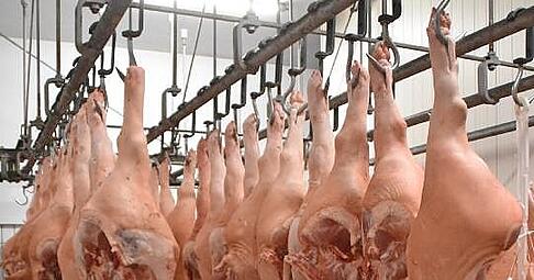 So kommt das Rohmaterial aus dem Kühlhaus: halbe Schweine am Haken. So kommt das Rohmaterial aus dem Kühlhaus: halbe Schweine am Haken.