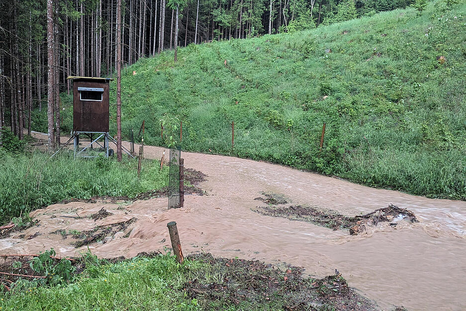 Oberflächenwasser läuft nach einem starken Gewitter einen Waldweg bei Blaustein hinunter. Oberflächenwasser läuft nach einem starken Gewitter einen Waldweg bei Blaustein hinunter.