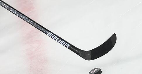 Die Adler Mannheim verpflichten einen neuen Spieler. (Symbolbild)